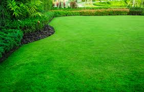 lawn maintenance services in new braunfels, tx